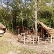 parco archeologico del lago pistono